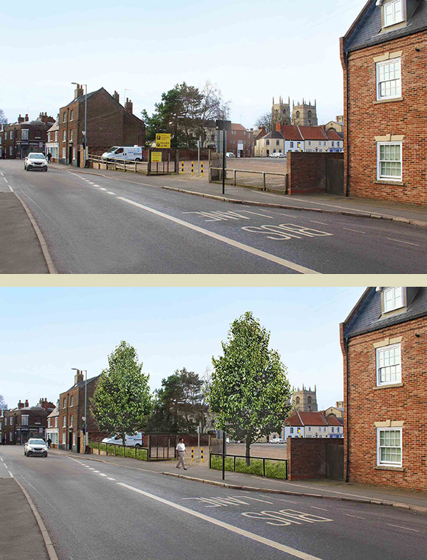 Ideas for streetscape enhancement and tree planting – King’s Lynn 